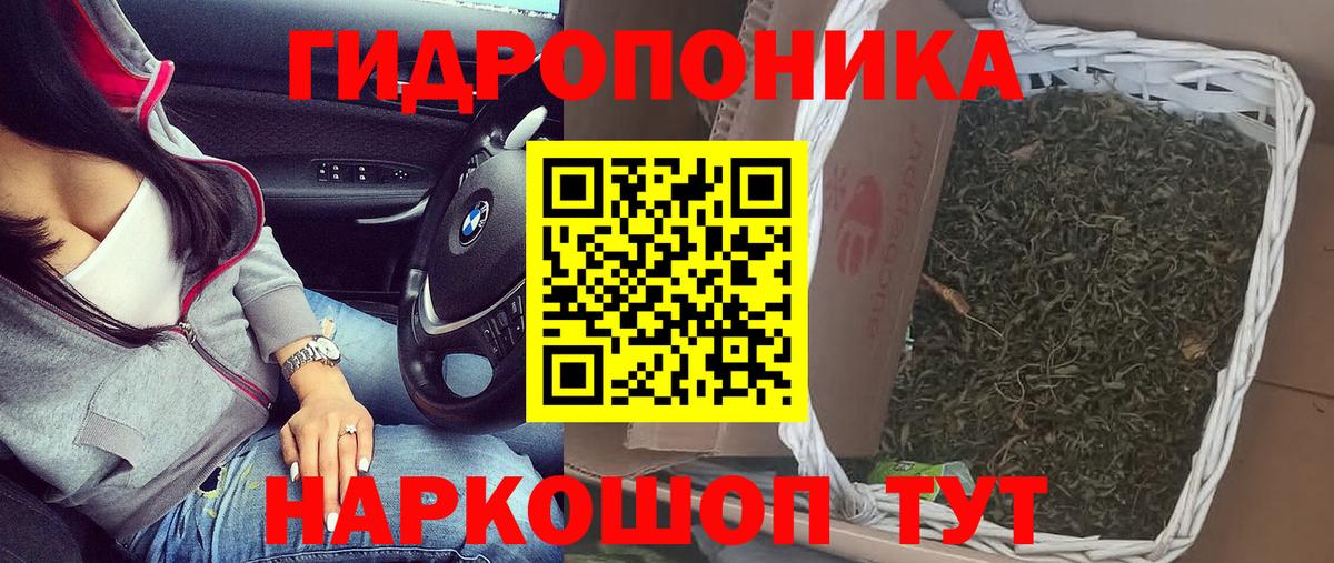 Марихуана White Widow  Бошки марихуана план  Красноуфимск  Вход с VPN 